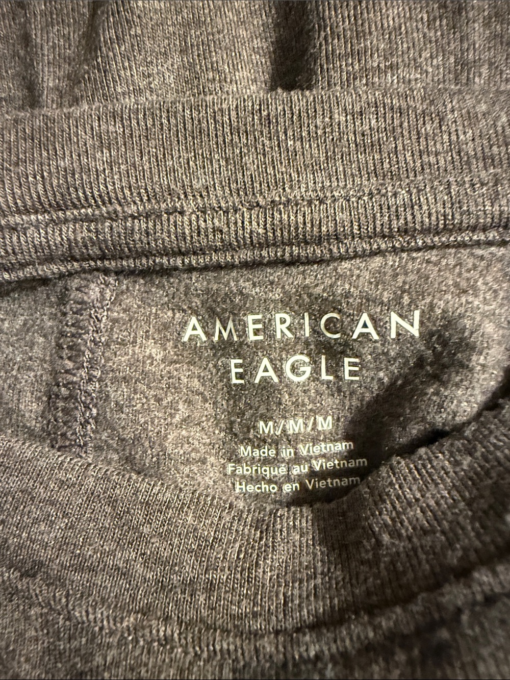 American eagle - Picture 4 of 5
